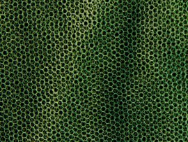 Moskitiera MFH klein groen 0,63x2x8 m