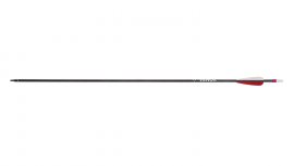 Pijl Carbon Wraith 28"