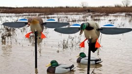 Balabán MOJO Mallard Drake - wilde eend met afstandsbediening