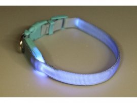 Lichtgevende halsband Dogtrace 28-38cm