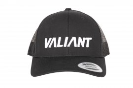 Pet Valiant