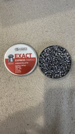 Beoordelingen: Diabolo JSB Exact Express 4,52mm 500st - 1