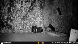 Beoordelingen: Wildcamera HIKMICRO T16 - 1