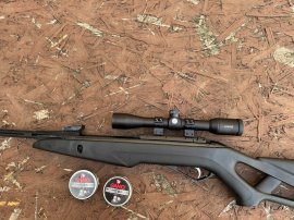 Beoordelingen: Diabolo Gamo Pro Magnum Penetration 4,5mm 500st - 1