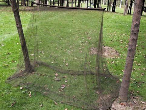 Kempingová moskytiéra MFH groen 2x1 5x1 m