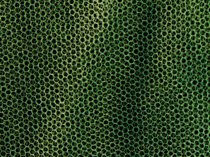 Moskitiera MFH klein groen 0,63x2x8 m
