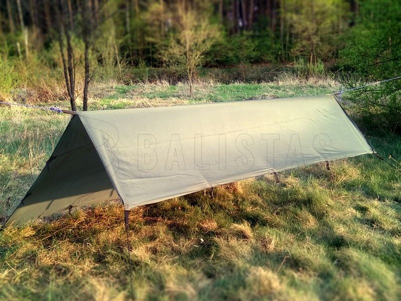 Turistische tarp Tigerwood Tectum 3x3 m groen