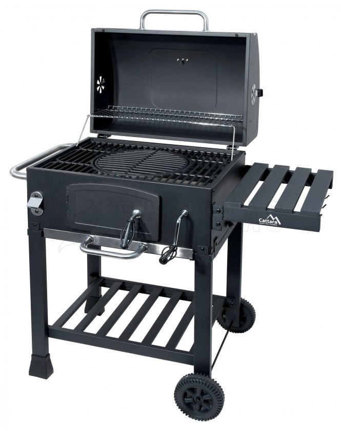 Houtskoolbarbecue Royal gietijzeren rooster