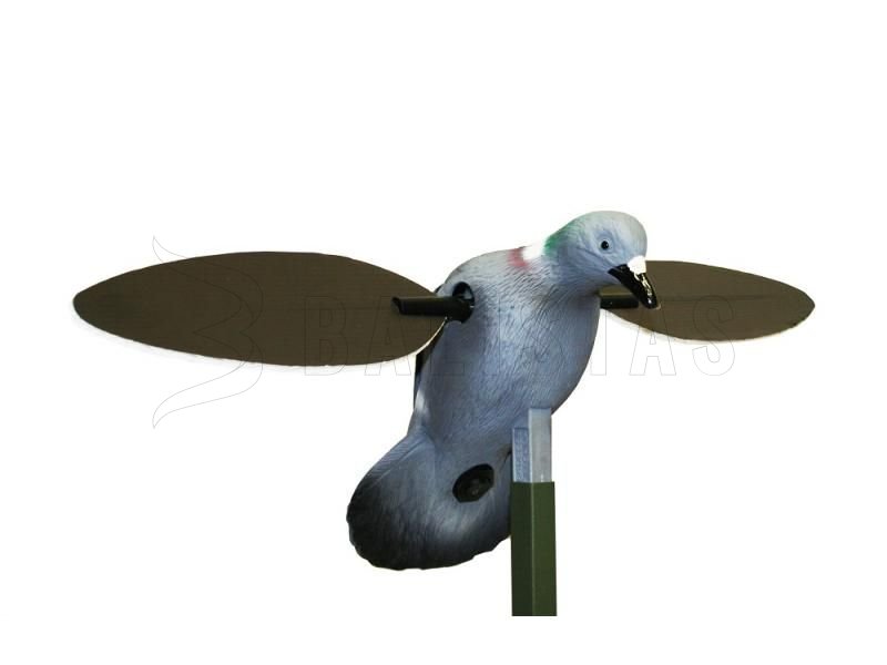 Balabán MOJO Pigeon - Duif