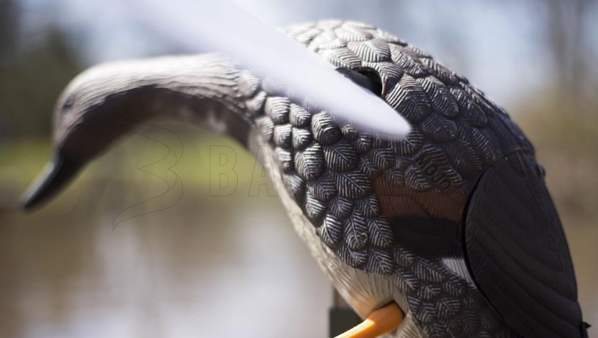 Balabán MOJO Gadwall - eend Kopřivka