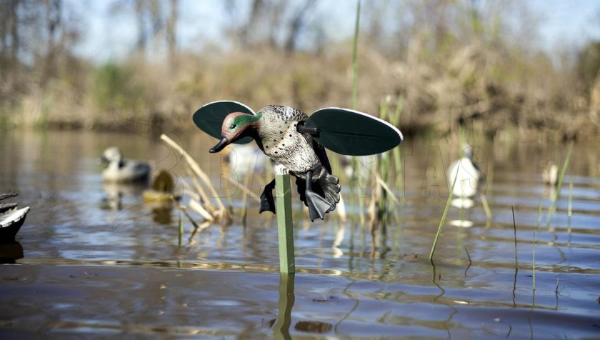 Balabán MOJO Teal - Slobeend
