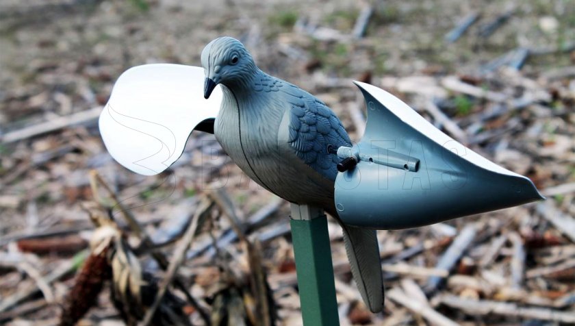 Balabán MOJO Wind Dove - Wind Holubice