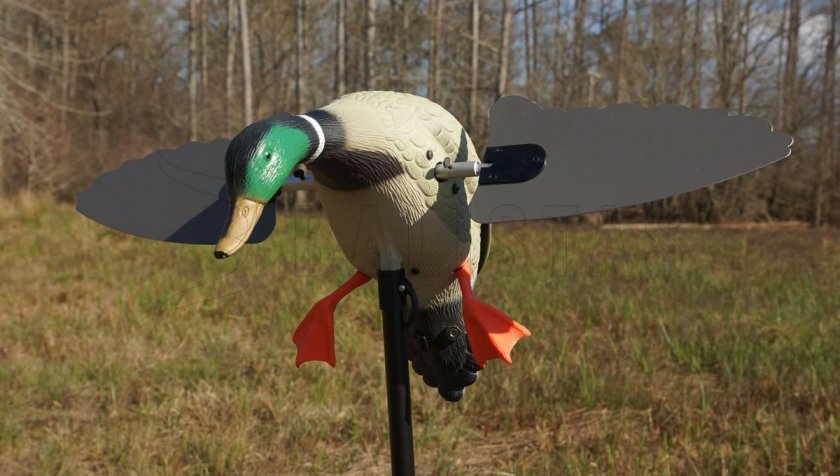 Balabán MOJO Super Mallard – Wilde Eend