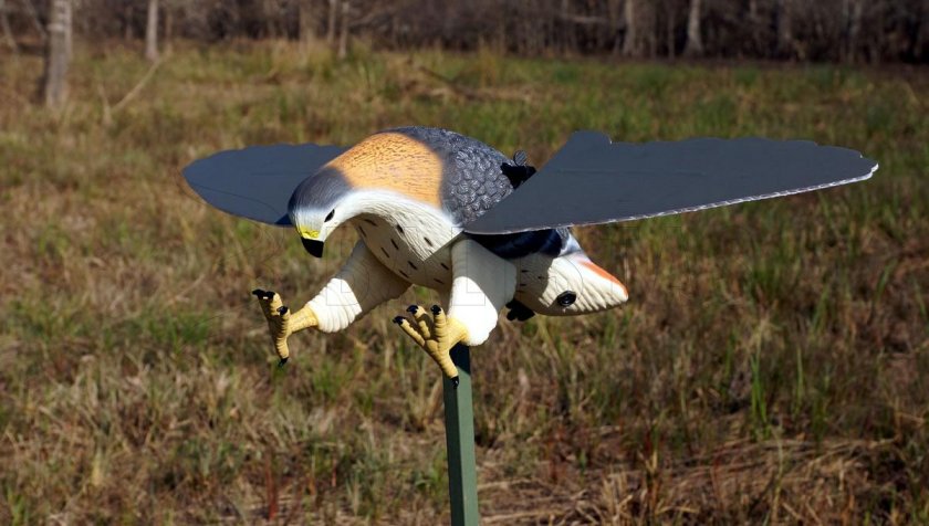 Balabán MOJO Hawk - Havik