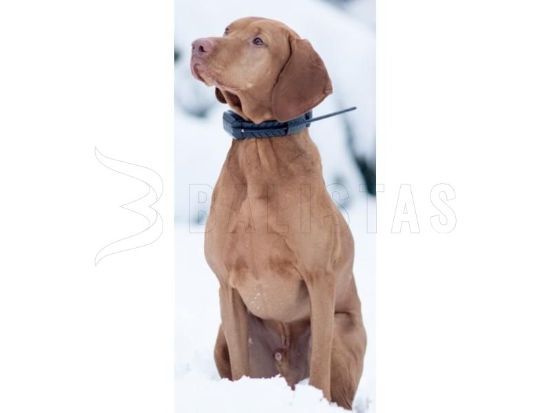 GPS lokátor Dogtrace DOG GPS X23 voor 3 honden