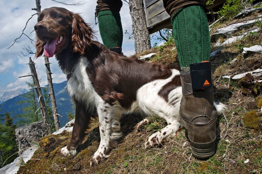 Alpenheat Verwarmde inlegzolen voor schoenen AH5 Trend