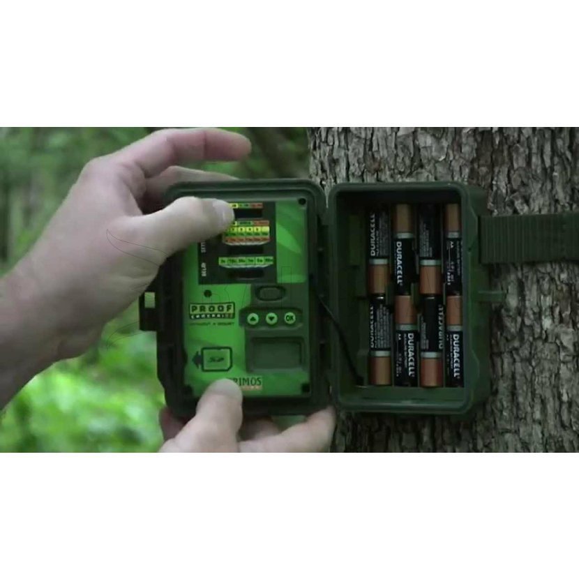 Wildcamera Primos Proof Cam 03