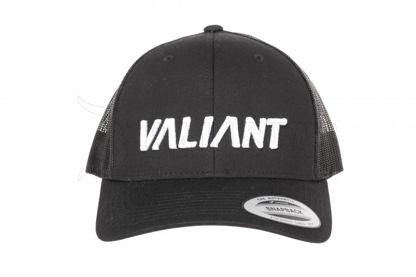 Pet Valiant