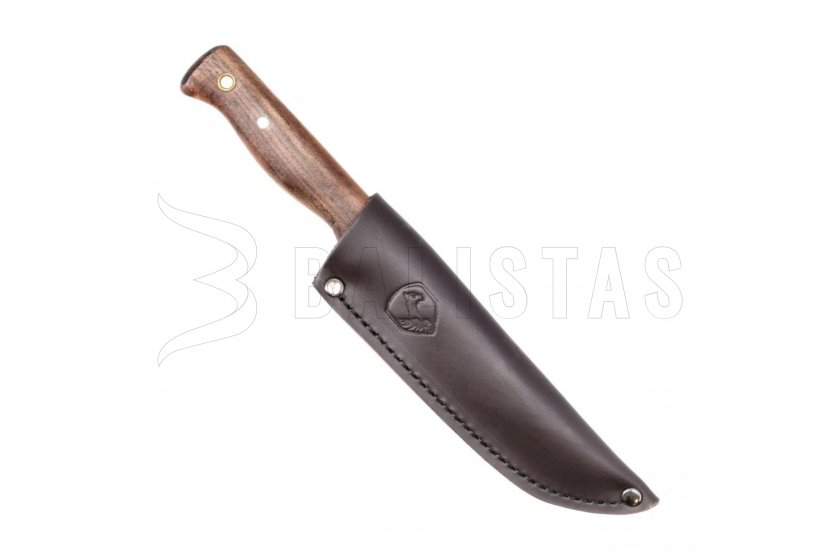 Mes Condor Bushlore
