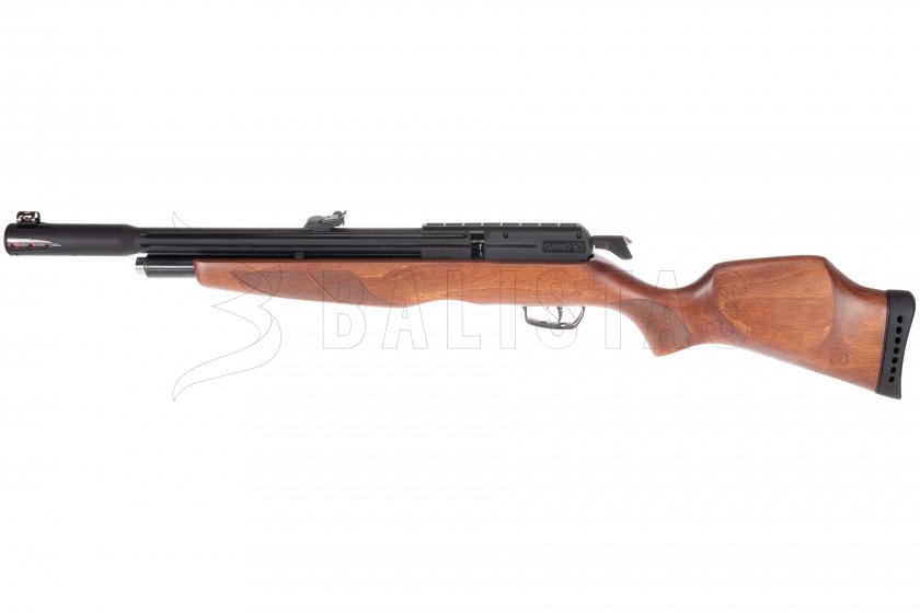 Luchtbuks Gamo Riser Punisher 4,5mm