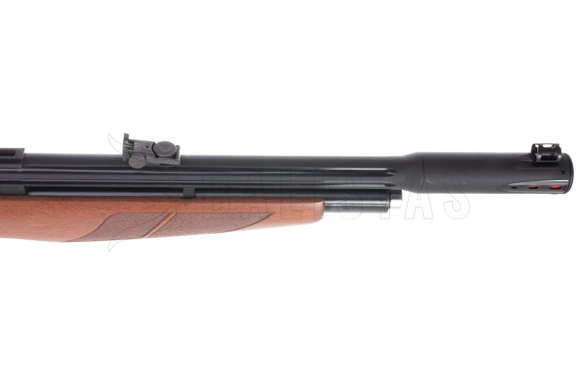 Luchtbuks Gamo Riser Punisher 4,5mm