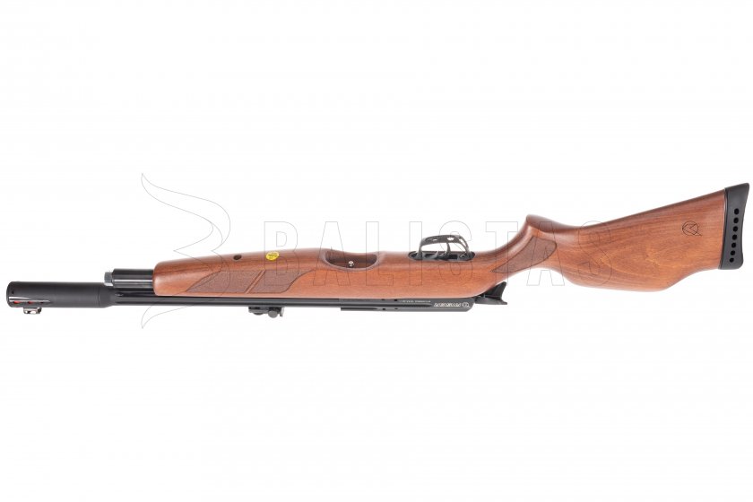Luchtbuks Gamo Riser Punisher 4,5mm