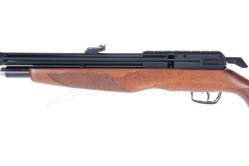 Luchtbuks Gamo Riser Punisher 4,5mm