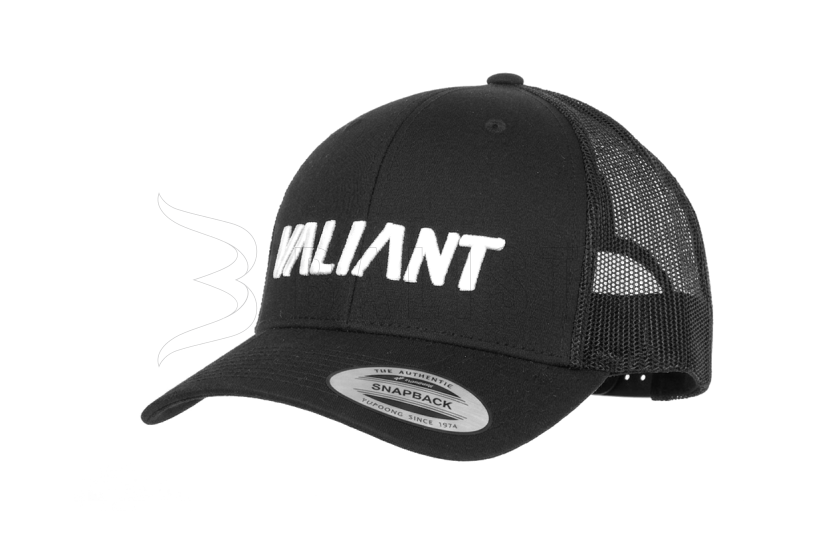 Pet Valiant