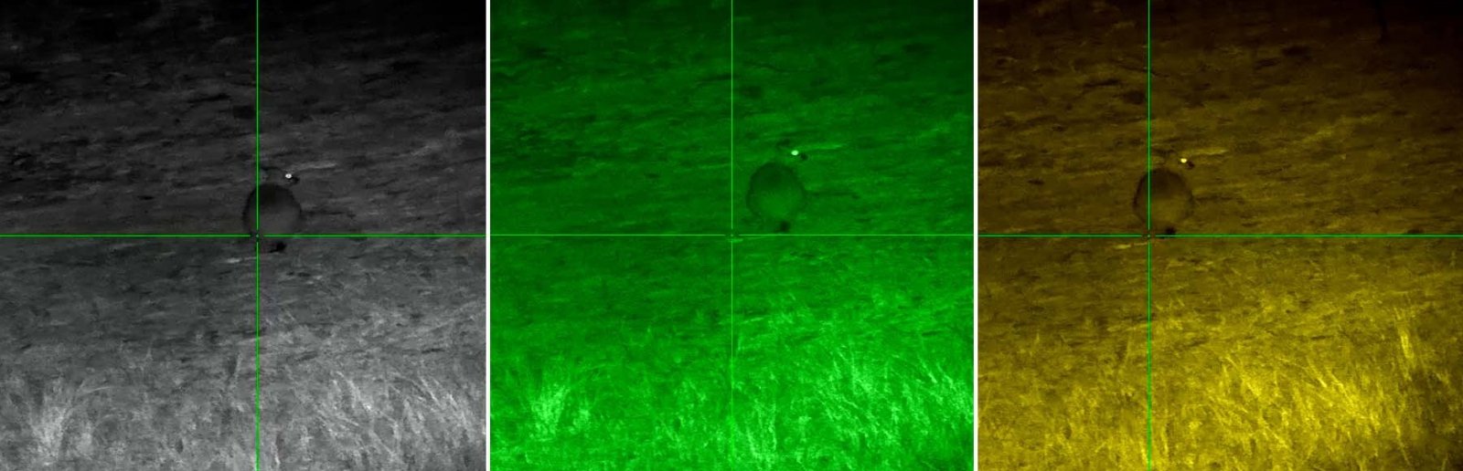 Richtkijker met nachtzicht PARD Night Stalker MINI tekst 4